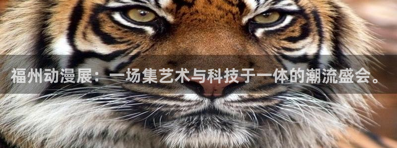managereader漫画官网入口：福州动漫展：一场集艺术与科技于一体的潮流盛会。