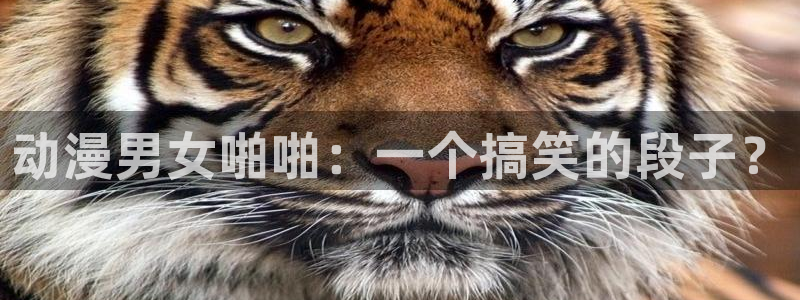 age动漫网
