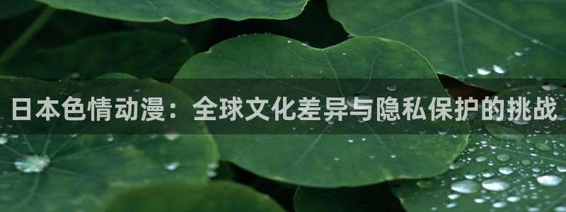 managereader漫画官网入口