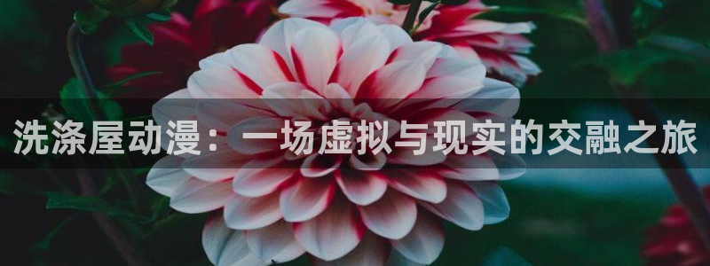 age动漫正版网