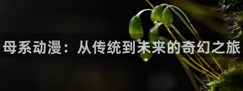 colomanage漫画官网