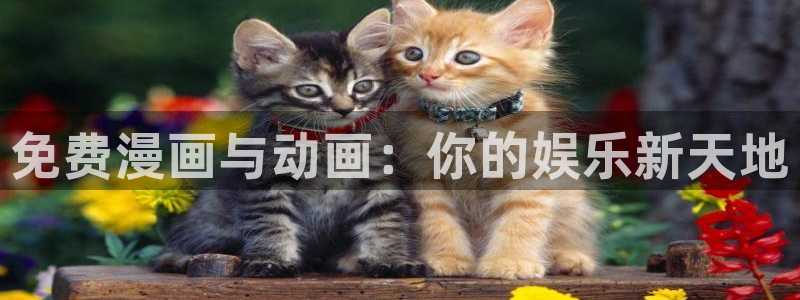 在线动画动漫下载age动漫