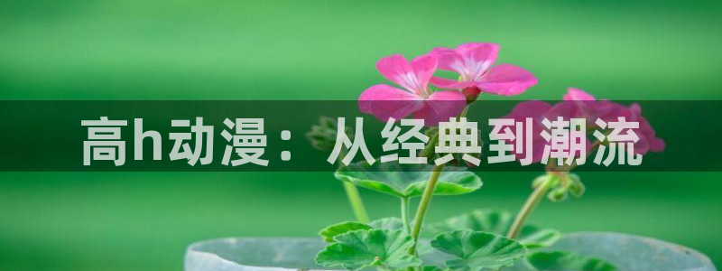 age漫画网